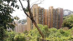 碧瑤灣 Baguio Villa (Tower 19-24)